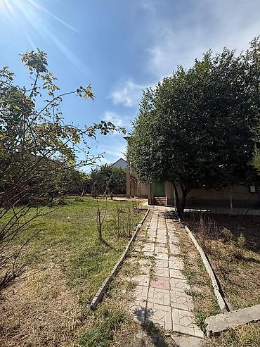 гаражи: 26 соток, Для бизнеса, Тех паспорт, Договор долевого участия — 1