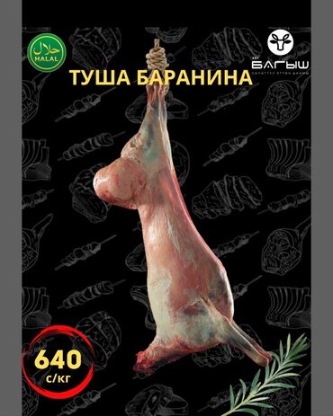 мясо конина цена бишкек: Баранина : До 1 кг, 1 кг, 2 кг, Самовывоз, Бесплатная доставка, Платная доставка