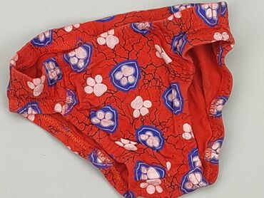 sinsay majtki hipster: Panties, Nickelodeon, 5-6 years, condition - Very good