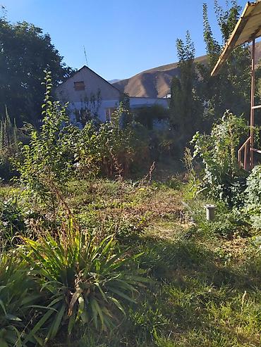 бутка вагон: Продается жилой дом🏡 в дачном товариществе Строитель. курортная зона — 8