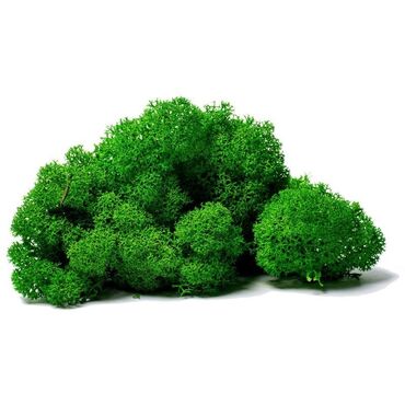 гирлянды для елки: Көчөттөр гүлдүн: Акылуу жеткирүү