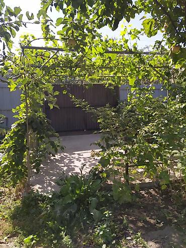 Продажа коттеджей и домов: Продаётся жилой дом с благоустроенным участком. - Дом одноэтажный — 13