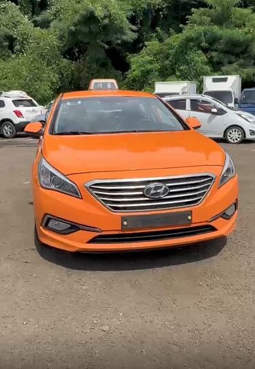 хонда фит аренда с последующим выкупом: Сдаю Hyundai Sonata, Долгосрочно, Без водителя, | Залог, Водительские права