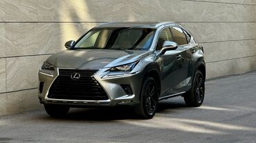 Lexus: Lexus NX: 2019 г., 2.5 л, Гибрид, Внедорожник