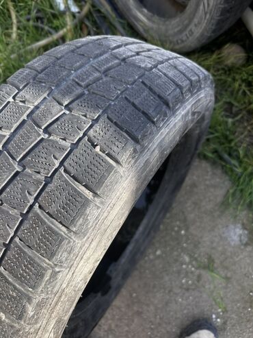 шины в бишкеке цены: Шины 215 / 65 / R 16, Зима, Легковые, Dunlop