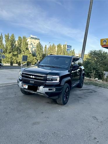 богажник авто: BYD FangChengBao Leopard 5: 2023 г., 1.5 л, Автомат, Гибрид, Внедорожник — 7