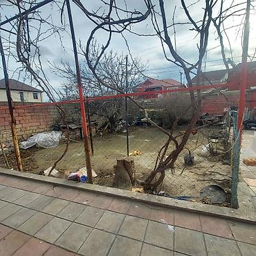 aşağda: 1 sot, Mülkiyyətçi — 1