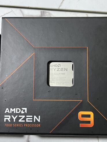 Процессоры: Процессор, AMD Ryzen 9, 12 ядер, Для ПК