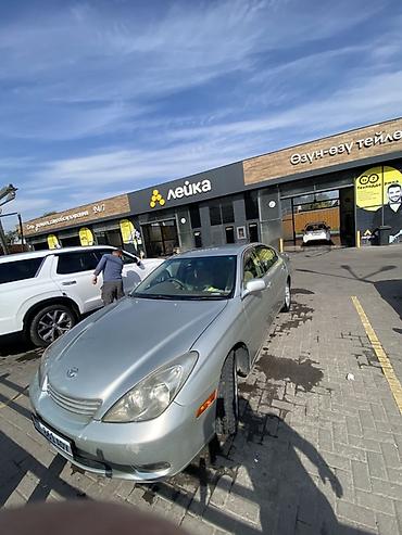 toyota takoma: Toyota Windom: 2004 г., 0.3 л, Автомат, Бензин, Седан — 5