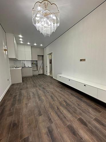 46: 1 комната, 42 м², Аламедин-1 мкр 3 этаж, Евроремонт — 6