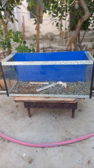 xacmaz heyvan bazari: Dördbucaq akvarium, Boş, 90 l, Ünvandan götürmə