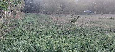 Продажа участков: 30 соток at lalafo.kg — 14 Продажа участков: 30 соток — 14