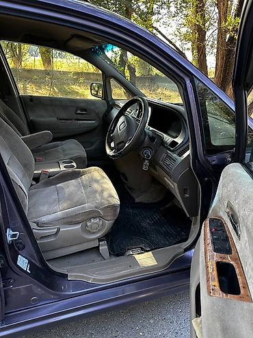 выдвижные шторки на авто: Honda Odyssey: 2003 г., 2.3 л, Автомат, Бензин, Минивэн — 9
