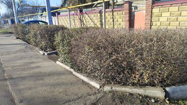 Продажа домов: Дом, 75 м², 4 комнаты, Собственник, Косметический ремонт — 1