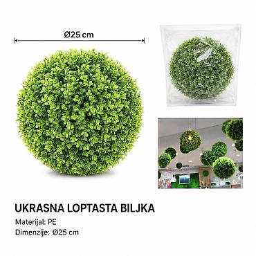 KMT Eukaliptus trava loptica 2902878 Dekorativna loptasta biljka od