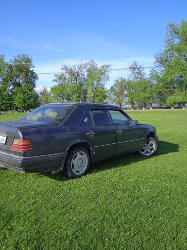 продаю или меняю мерс: Mercedes-Benz E 250: 1993 г., 2.5 л, Механика, Дизель, Седан
