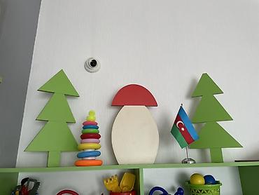bayraq sekilleri: Fiqur, Taxta, rəng - Yaşıl — 1