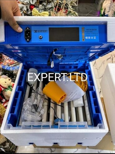 Digər quşlar: Smart-rejimli inkubatorlar satılır. Aparatlar tam olaraq avtomat, və — 6