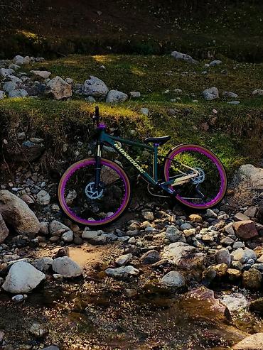 Горный велосипед Mongoose с ярким кастомным внешним видом