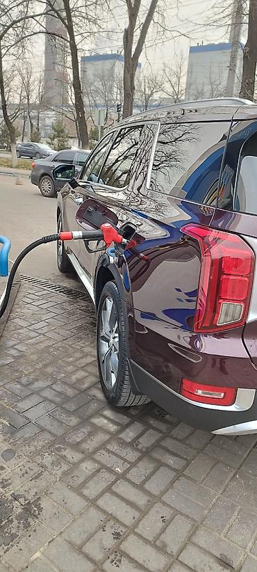 Hyundai: Hyundai Palisade: 2020 г., 3.8 л, Автомат, Бензин, Кроссовер — 39