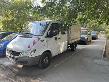 спринтер сди: Жеңил жүк ташуучу унаа, Mercedes-Benz, Дубль