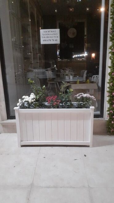 Bitkilər üçün dibçəklər: Dibceklər hər ölcüdə hər zövgə #dibceklər kafe ofis hryitcin zamanətlə — 11