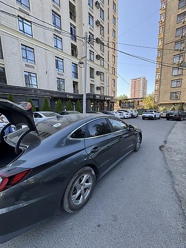 sonata ef: Hyundai Sonata: 2022 г., 2 л, Автомат, Газ, Седан — 5