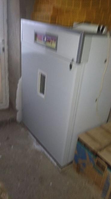 İnkubatorlar: Tam avtomat — 1