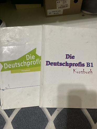 немецкие: Учебный комплект по немецкому языку Die Deutschprofis B1. Состав: - — 1