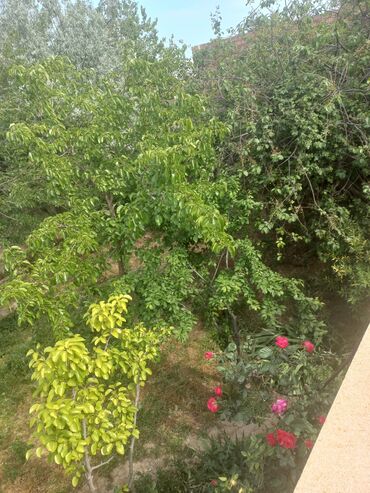 Həyət evləri və villaların satışı: 3 otaqlı, 100 kv. m, Kredit yoxdur, Orta təmir -da lalafo.az — 11 Həyət evləri və villaların satışı: 3 otaqlı, 100 kv. m, Kredit yoxdur, Orta təmir — 11