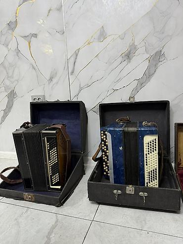 interton gn: Баяны в футляре
Два баяна — 1
