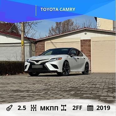 Toyota: Toyota Camry: 2019 г., 2.5 л, Автомат, Бензин, Седан — 1