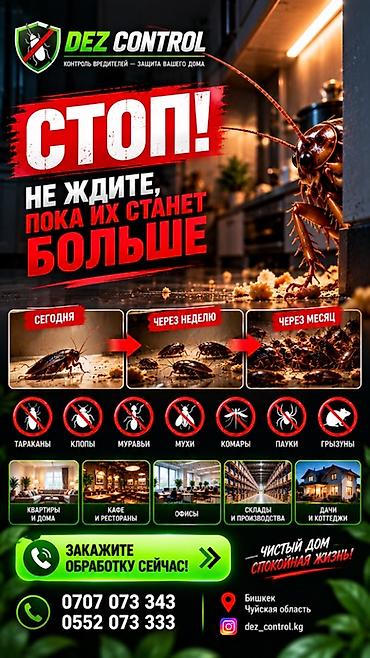 Дезинфекция, дезинсекция: Дезинфекция, дезинсекция, | Клопы, Блохи, Тараканы, | Офисы, Квартиры, Дома — 2
