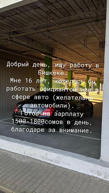 Официант. 1-2 года опыта