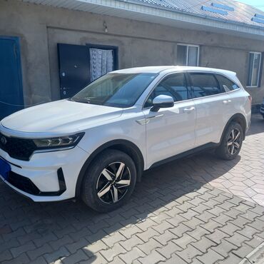 спрей скорая помощь: Kia Sorento: 2021 г., 2.5 л, Автомат, Бензин