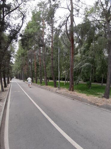 раздольное село: 2 бөлмө, 60 кв. м, Жеке план, 2 кабат