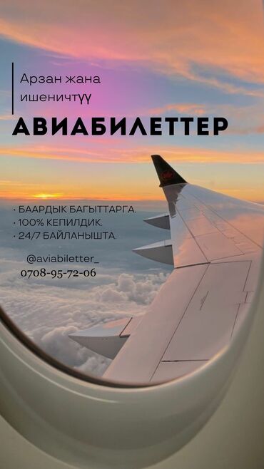 Туристические услуги: What’s App