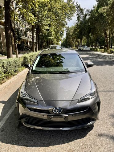 тайото пасо: Toyota Prius: 2019 г., 1.8 л, Вариатор, Гибрид, Седан