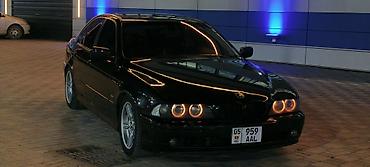 bmw e39 машина: BMW 5 series: 2001 г., 2.5 л, Автомат, Седан — 3