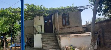 Bağ evlərinin satışı: Bakı, Saray, 100 kv. m, 3 otaqlı, Hovuzlu, İnternet, Qaz, İşıq — 11