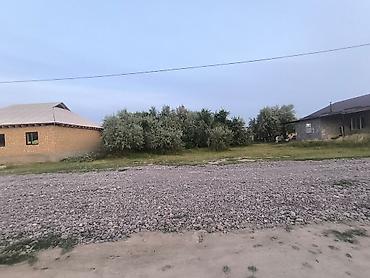 алтын казык ж м: 8 соток, Для сельского хозяйства, Красная книга — 1