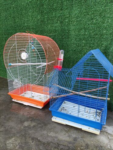 Qəfəslər: Qəfəslər quşlar — 14