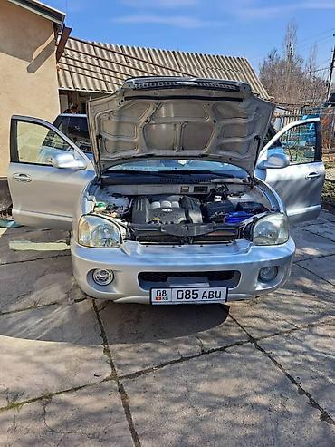 Hyundai: Hyundai Santa Fe: 2002 г., 2.7 л, Автомат, Бензин, Кроссовер — 14