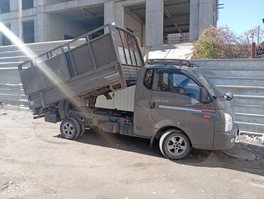 Легкий грузовой транспорт: Легкий грузовик, Hyundai, Стандарт, До 1 т