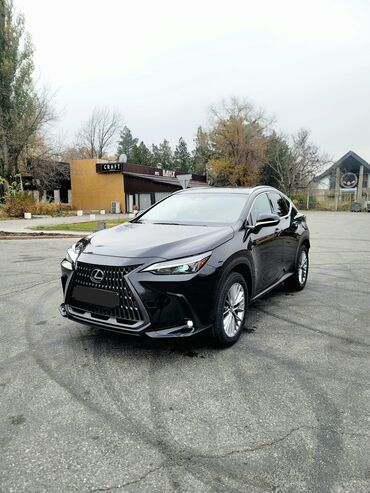 Lexus: Lexus NX: 2022 г., 2.4 л, Автомат, Бензин, Кроссовер