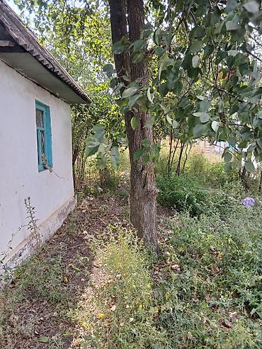 участок малина: 1 комната, 4 м² — 1