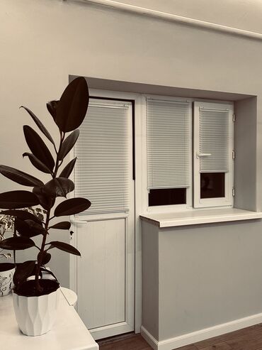 Жалюзи и рольшторы: Ролл-плиссе День-Ночь — идеальный контроль света. Под ваш размер — 5