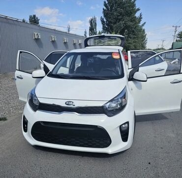 авто в аренду последующем выкупом: Ижарага берем Kia Morning такси үчүн, Узак мөөнөткө, | Күрөө