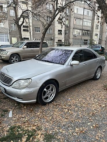 эштк: Mercedes-Benz S-Class: 1999 г., 4.3 л, Автомат, Бензин, Седан — 3
