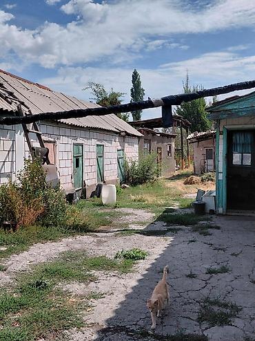 3: 9 соток, Для строительства, Красная книга — 3